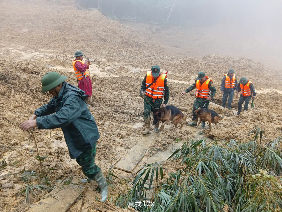 Bộ đội cùng chó nghiệp vụ đến hiện trường vụ sạt lở tìm kiếm nạn nhân mất tích.
