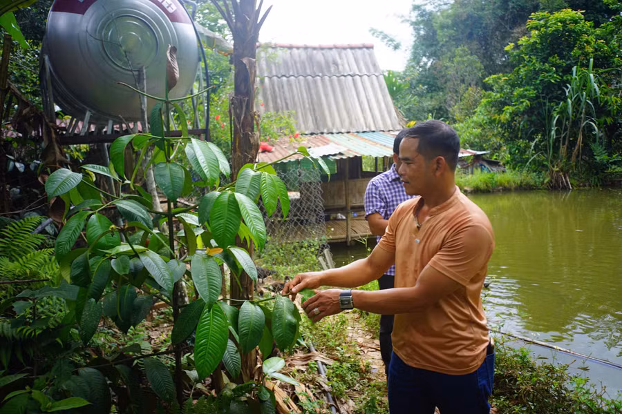 Anh BNướch Ngang bên khu vườn của mình.