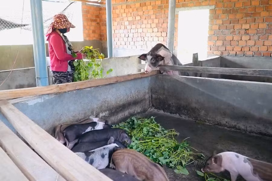 Nhờ các chính sách hỗ trợ giảm nghèo của Nhà nước mà đời sống của người dân từng bước cải thiện. Ảnh: N.Toàn