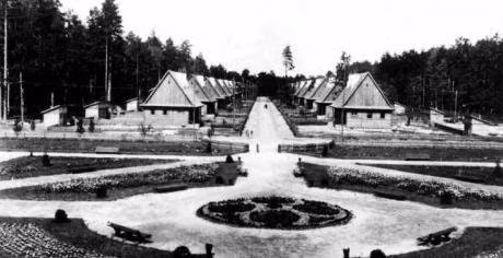 janowadolina-fernoufwidth-800-9603.jpg