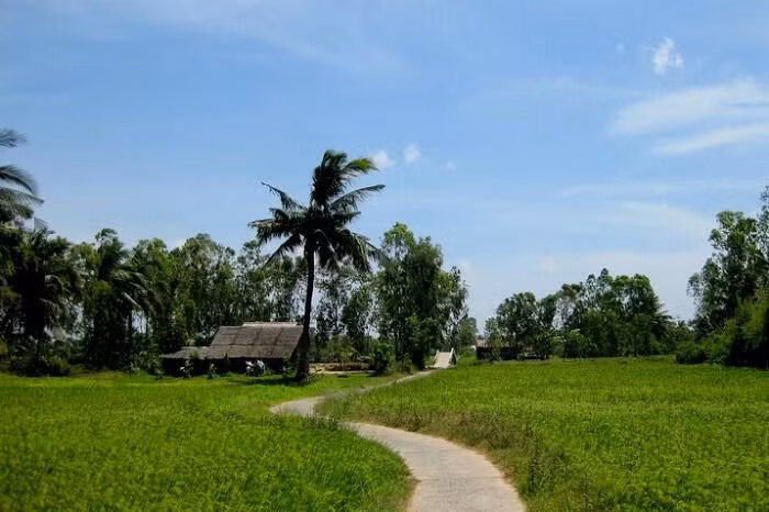Minh họa/INT