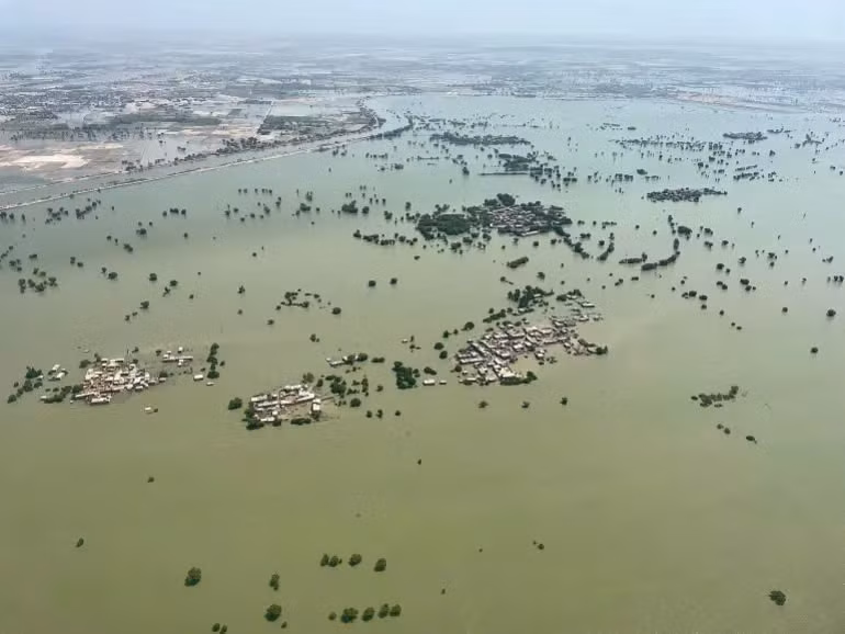 co-dau-gio-mua-o-pakistan-1.jpg