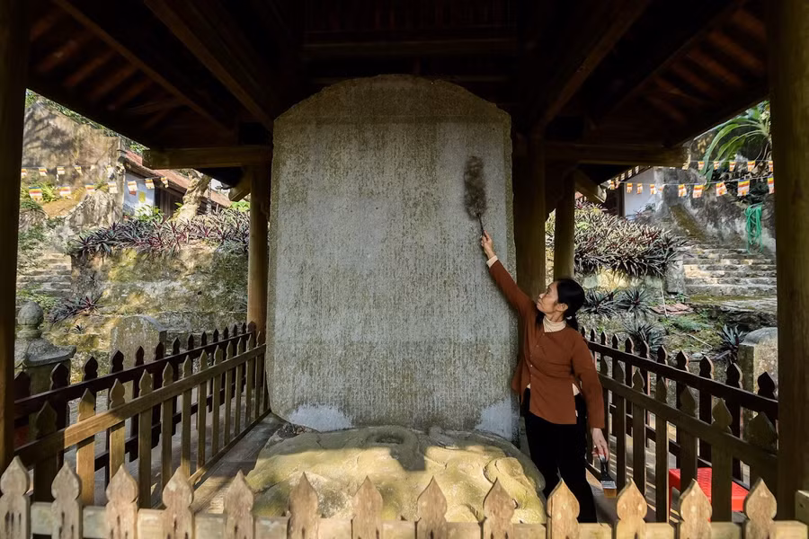 ngoi-co-tu-gan-nghin-nam-tuoi-2.jpg