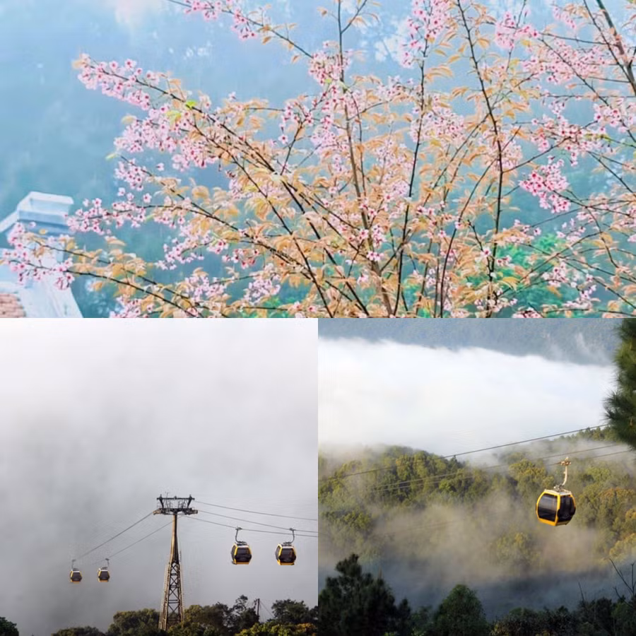 ngoi-chua-giua-lung-chung-may-1.jpg