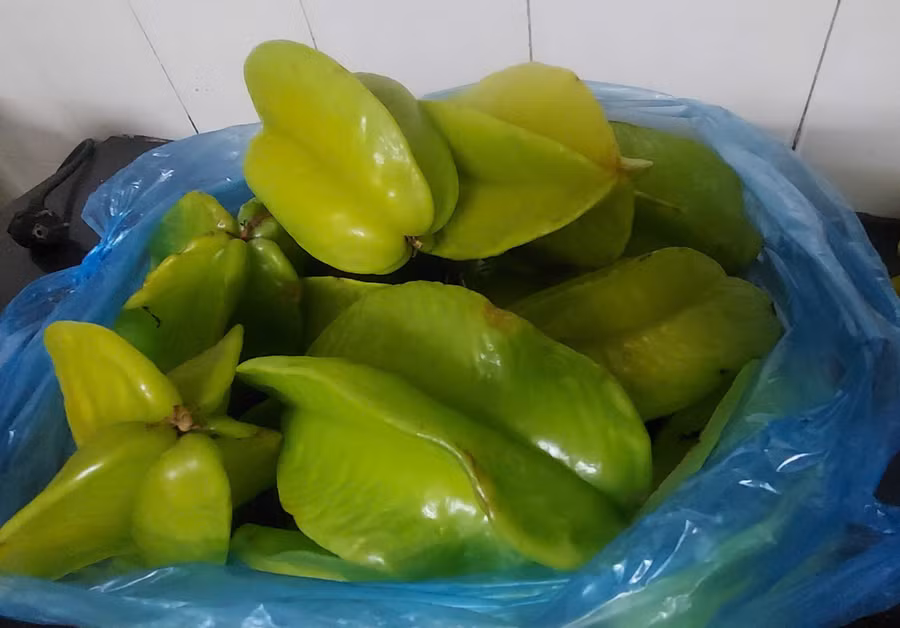 de-nhat-khe-2.jpg