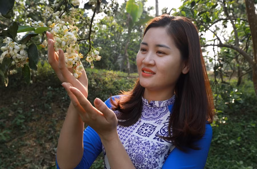 nong-nan-huong-buoi-dai-minh-2.jpg