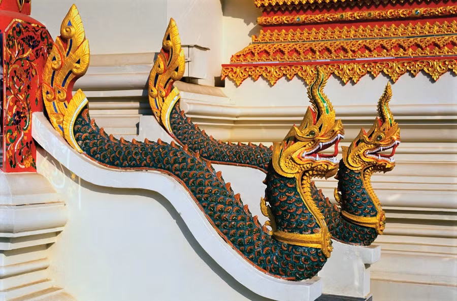 bieu-tuong-ran-trong-van-hoa-a-dong-1.jpg