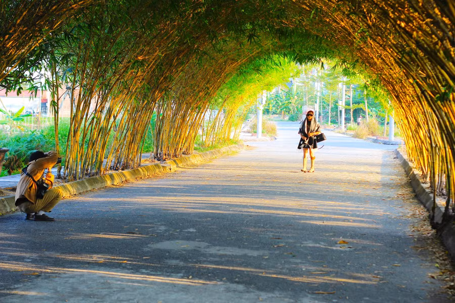vom-tre-diem-check-in-doc-dao-o-thai-binh-1.jpg