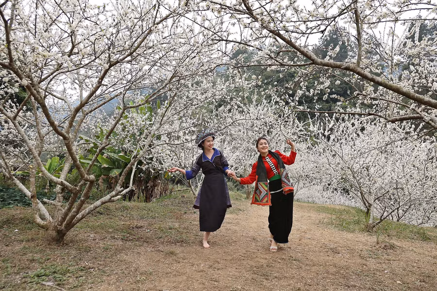 nhung-chum-may-quen-ve-troi-4.jpg