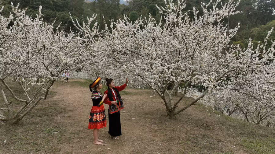 nhung-chum-may-quen-ve-troi-10.jpg
