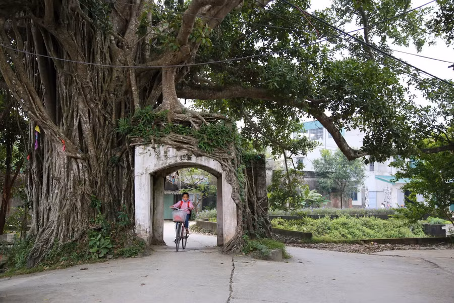 Cổng làng trở thành một phần ký ức của người dân Việt Nam. Ảnh: Báo Hải Dương.
