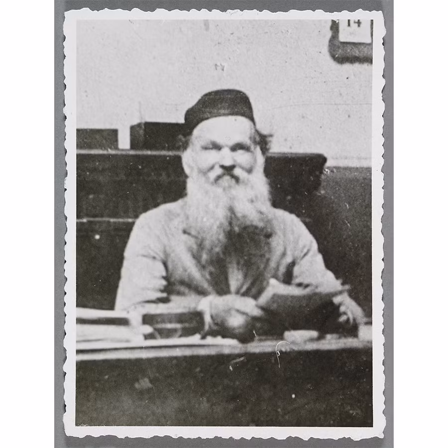 cuu-tinh-cua-van-gogh-2.jpg