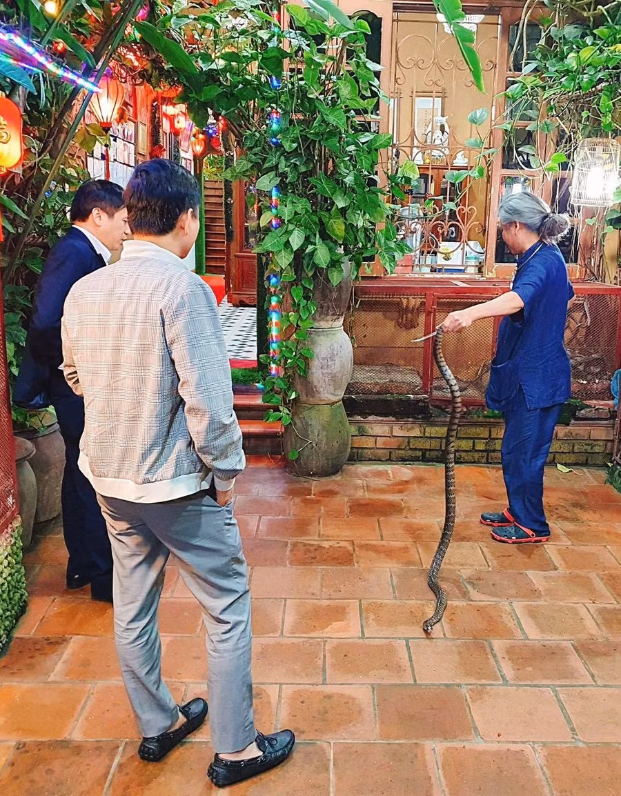 chuyen-thu-vi-ve-ong-to-nghe-ran-le-mat-4.jpg