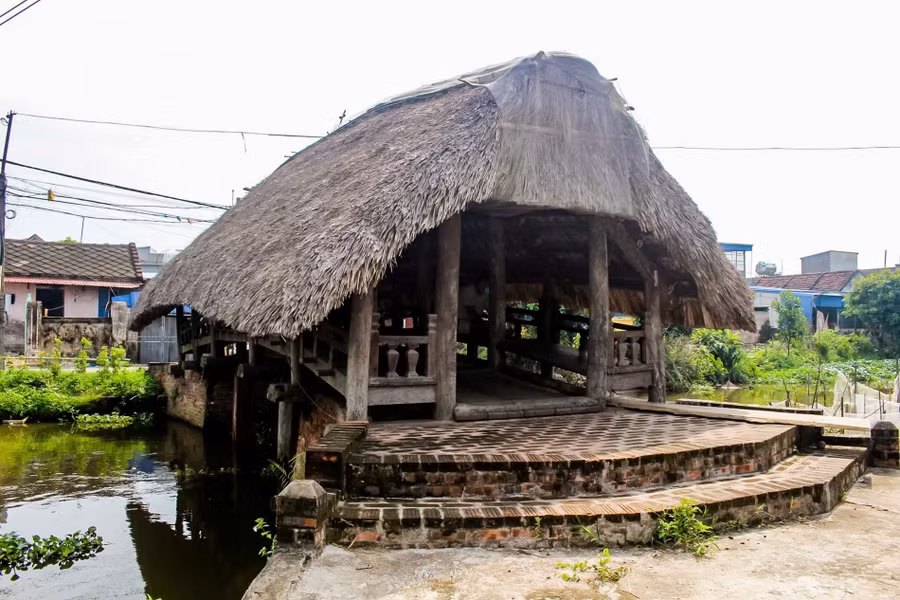 cay-cau-go-lop-la-hon-700-tuoi-o-nam-dinh-7.jpg