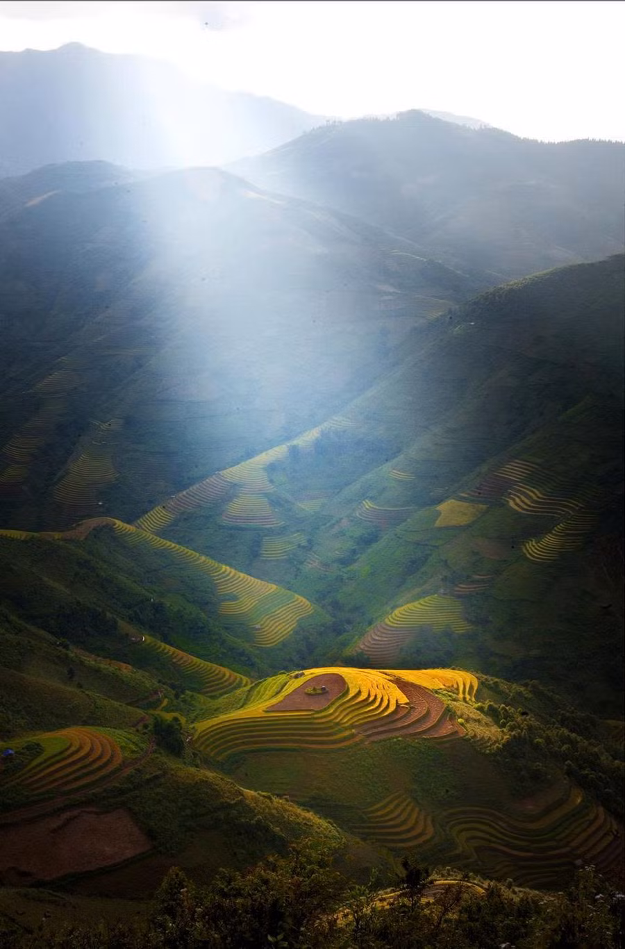 cam-thu-van-hoc-giai-dieu-tram-hung-ma-chan-chua-yeu-thuong.jpg
