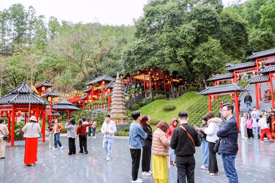cay-thi-ngoi-chua-co-linh-thieng-3.jpg