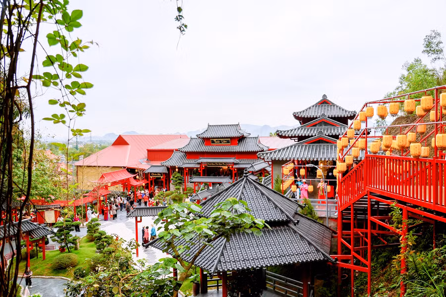 cay-thi-ngoi-chua-co-linh-thieng-2.jpg