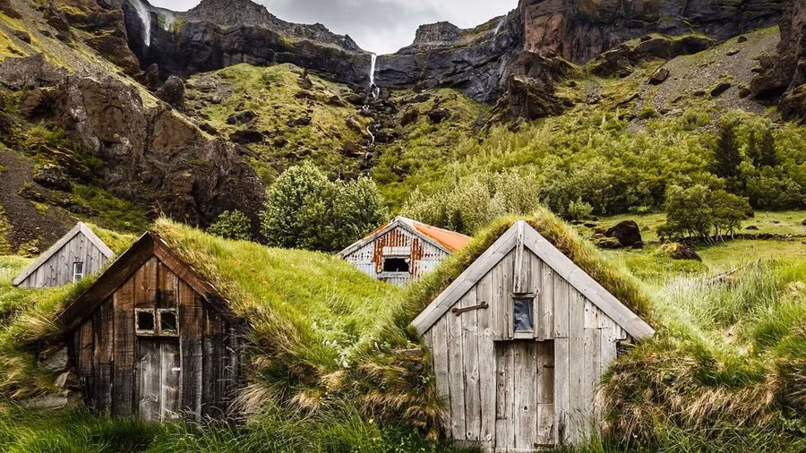 Tây Bắc Iceland là vùng đất trống trơn, chỉ giàu mỗi cỏ và cây bụi. Ảnh: Kelly Cheng Travel Photography