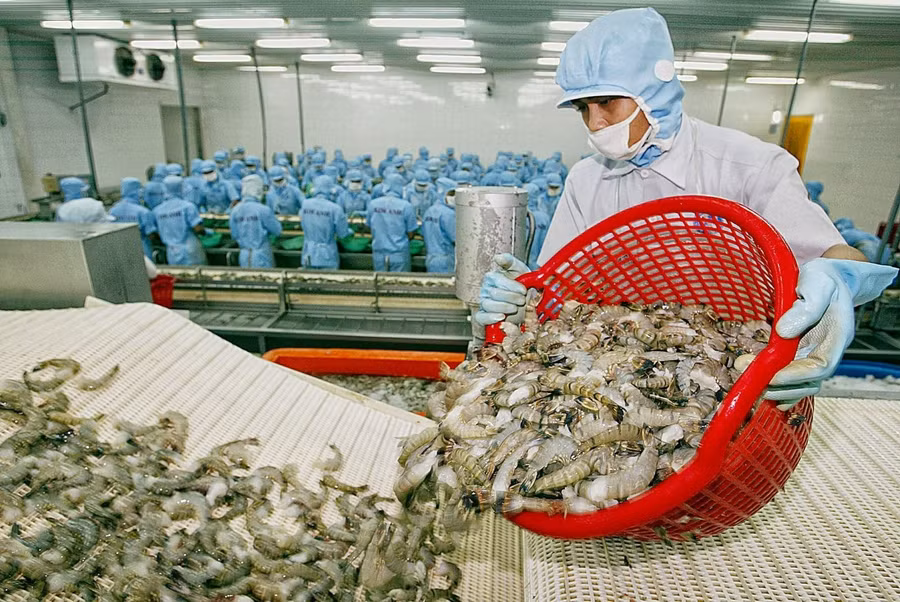 Tôm là một trong bảy sản phẩm, nhóm sản phẩm có giá trị xuất khẩu đạt trên 1 tỷ USD.