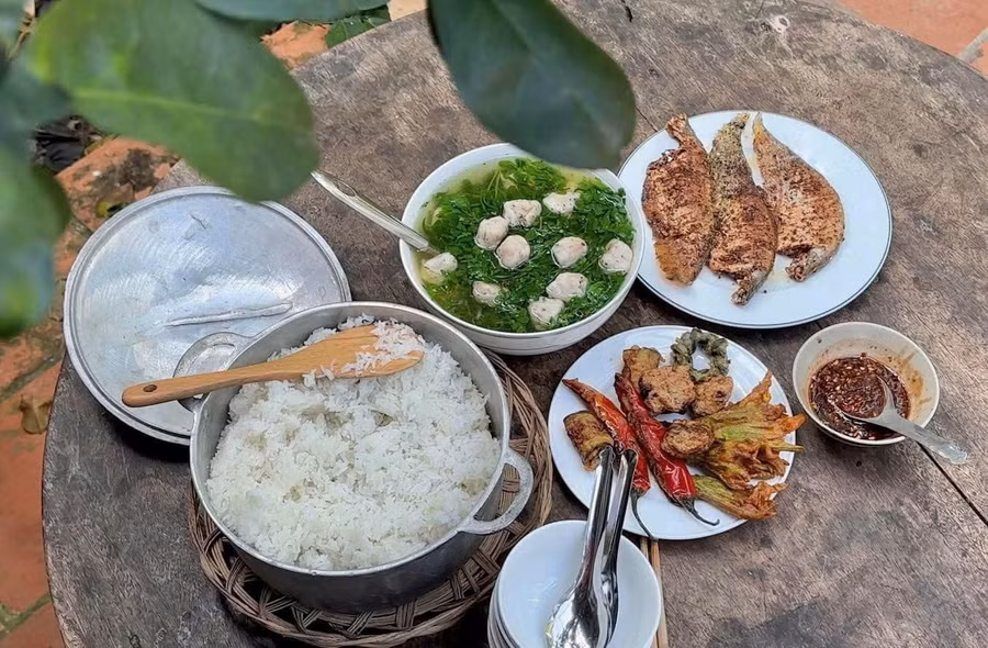 cam-thu-van-hoc-khat-vong-tim-lai-coi-nguon-2.jpg