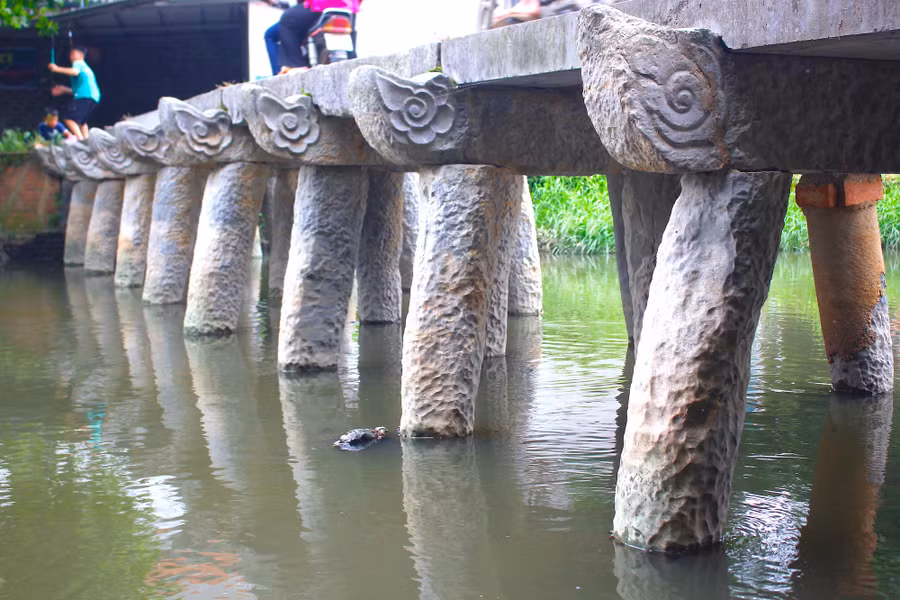 cau-da-co-doc-nhat-vo-nhi-o-bac-bo-2.jpg