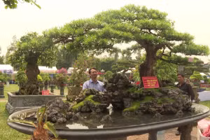 Hà Nội lần đầu tổ chức Festival sinh vật cảnh