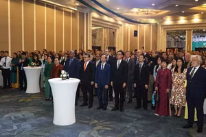 Việt Nam - Ireland kỷ niệm 30 năm quan hệ ngoại giao