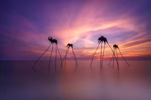 Ảnh Cục DLQG Việt Nam.