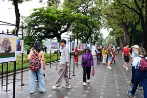 Không gian phố đi bộ hồ Hoàn Kiếm - Ảnh minh họa.