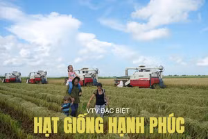 Sắp phát sóng phim tài liệu đặc biệt tại Việt Nam và Cu Ba