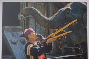 Dự kiến, triển lãm diễn ra vào tháng 11/2025 tại tỉnh Khánh Hòa - Ảnh minh hoạ: ITN.