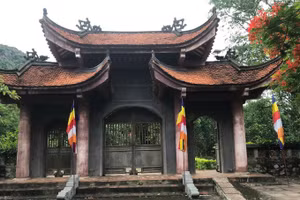 Chuyên gia Đại học Canada tham gia khai quật khảo cổ tại Ninh Bình