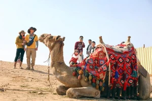 Tổng đài bảo hộ công dân của Cục Lãnh sự, Bộ Ngoại giao: +84981848484 hoặc +8496541118 - Ảnh minh hoạ ITN.