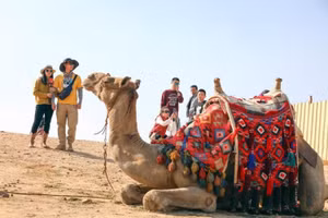 Tổng đài bảo hộ công dân của Cục Lãnh sự, Bộ Ngoại giao: +84981848484 hoặc +8496541118 - Ảnh minh hoạ ITN.