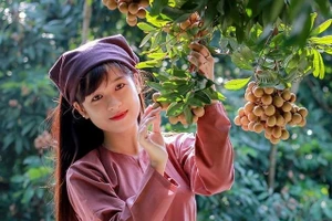 Ảnh minh hoạ: ITN.