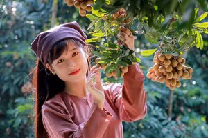 Ảnh minh hoạ: ITN.