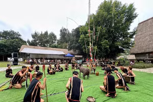 Ảnh minh họa ITN.