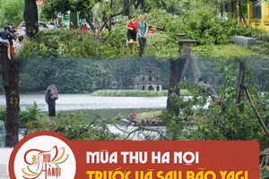 Tạm dừng chuỗi sự kiện Tết Trung thu và một số hoạt động văn hóa tại Hà Nội