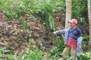 Trường Lũy Bình Định là một bờ lũy dài khoảng 147km - ảnh ITN.
