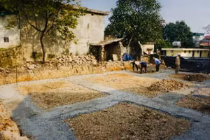 Vị trí mở hố khai quật trong lần khai quật cuối năm 2024 tại thôn Tân Hoa, xã Trường Yên, Hoa Lư, Ninh Bình - Ảnh: Viện Khảo cổ học Việt Nam.