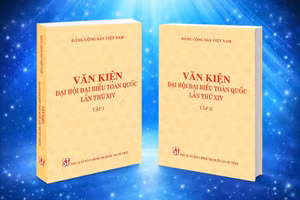 Bộ sách gồm 823 trang, chia thành hai tập, tập hợp 10 văn kiện quan trọng đã được Đại hội thông qua.