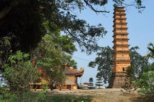 Quy hoạch bảo quản và phục hồi di tích tháp Bình Sơn