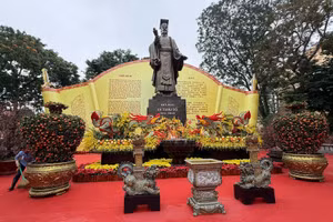 Không gian hoa Xuân sẽ kéo dài đến hết ngày 3/3 - Ảnh: BTC.