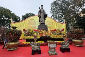 Không gian hoa Xuân sẽ kéo dài đến hết ngày 3/3 - Ảnh: BTC.