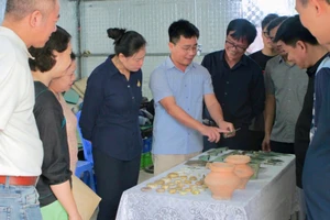 Khẩn trương hoàn thiện hồ sơ đề nghị xếp hạng di chỉ Vườn Chuối