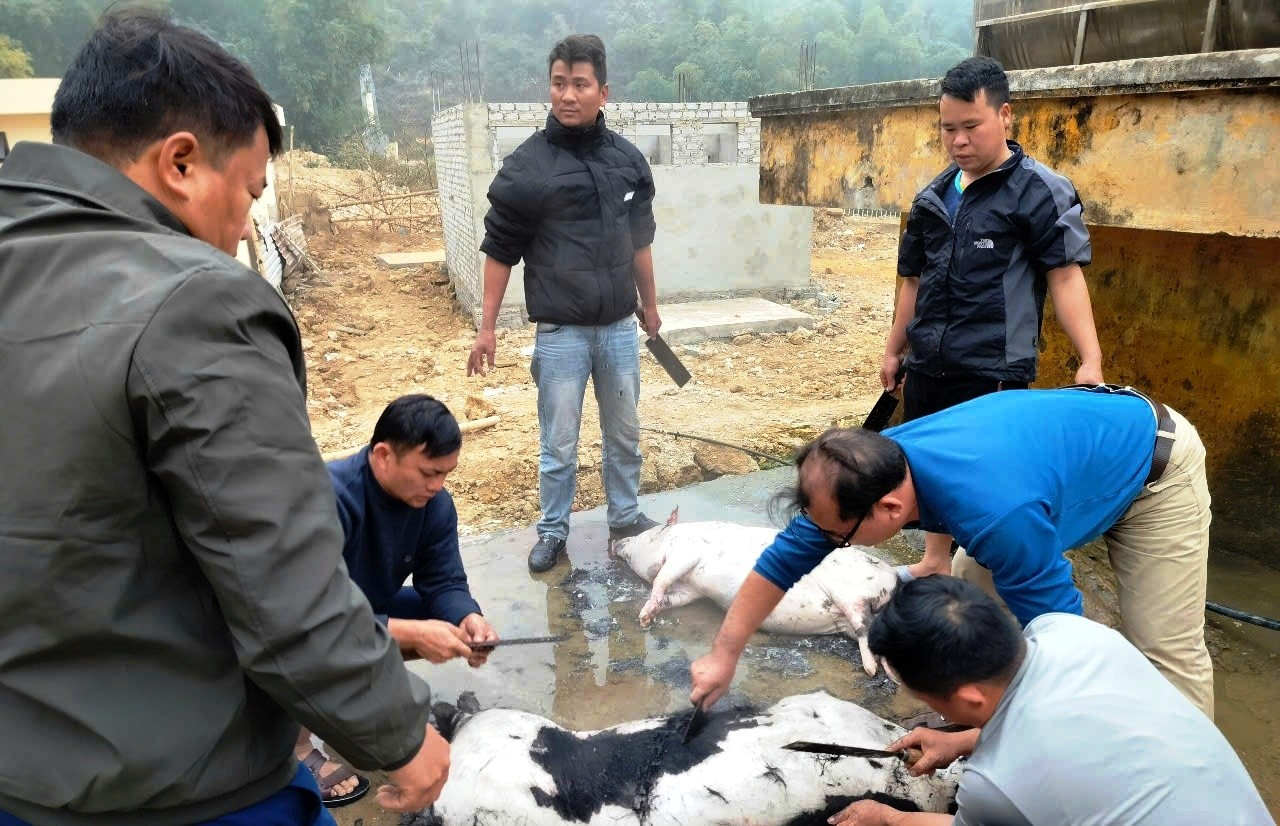 Các thầy giáo Trường Trường PTDTBT - THCS Trung Lý (Mường Lát, Thanh Hóa) tự tay làm thịt lợn để tổ chức bữa cỗ Tất niên cho học trò. 6-cac-thay-giao-truong-truong-ptdtbt-thcs-trung-ly-muong-lat-thanh-hoa-tu-tay-lam-thit-lon-de-to-chuc-bua-co-tat-nien-cho-hoc-tro.jpg