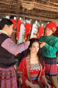 hoa-hau-tieu-vy-7.jpg