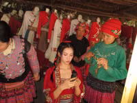 hoa-hau-tieu-vy-6.jpg