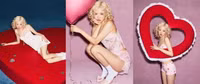 rose-10.jpg