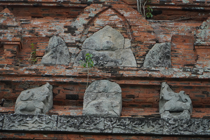 dsc09565.jpg